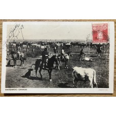 GAUCHOS MARCANDO GANADO ANTIGUA TARJETA POSTAL